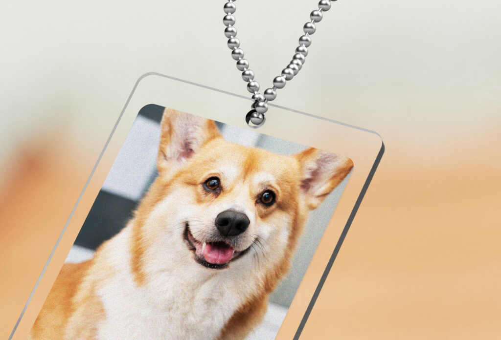 アクスタ ペットアクスタ ペットアクリルスタンド ペットキーホルダー 犬キーホルダー 犬グッズ印刷 犬キーホルダー印刷 オリジナルキーホルダー